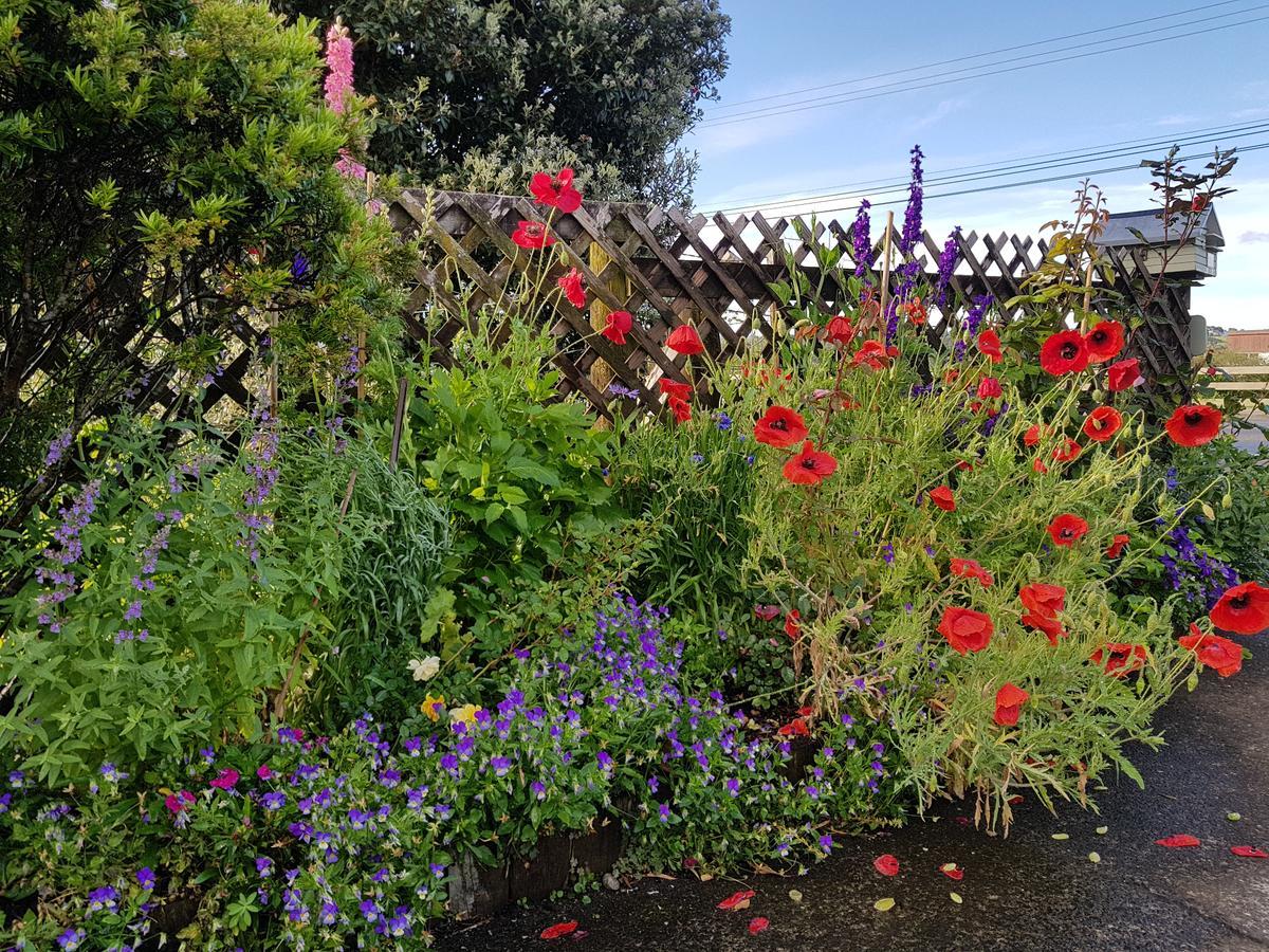 The Green House B&B Whitianga Exterior photo