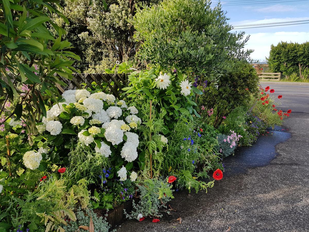 The Green House B&B Whitianga Exterior photo